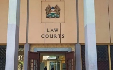 High Court’s Landmark Ruling Recognises Transgender Rights, Orders Legal Reforms