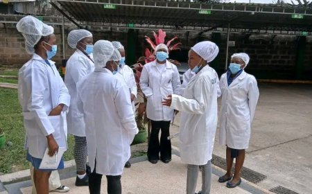 KCSE C+ Graduates: Top-Paying Medical Health Sciences Courses to Pursue in Kenya