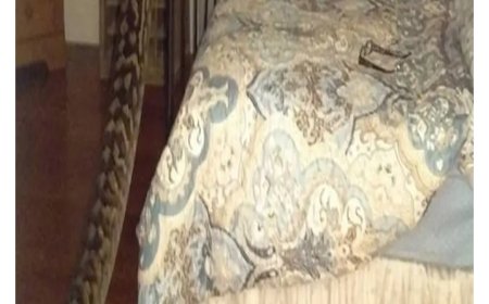 Woman screams loudly after entering forbidden room where giant snake appears in shocking twist