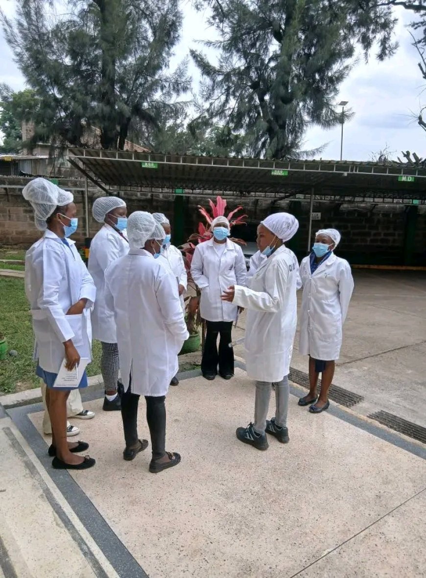 KCSE C+ Graduates: Top-Paying Medical Health Sciences Courses to Pursue in Kenya