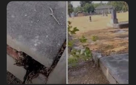 Strange Witchcraft Scare at Kilifi Butchery Ends After Cleansing by Dr. Bokko