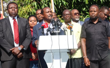 Implosion in the United Opposition as Two Factions Clash over 2027 Ticket