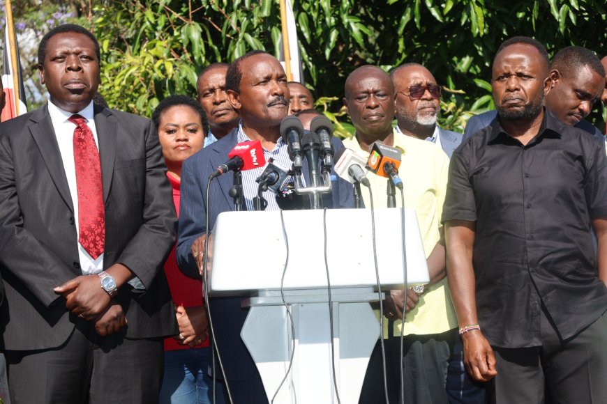 Implosion in the United Opposition as Two Factions Clash over 2027 Ticket