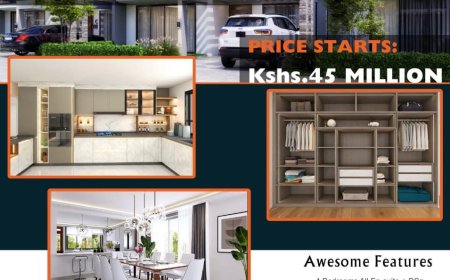 VAAD Limited and Its Strategic Approach to Luxury Developments and Property Investment