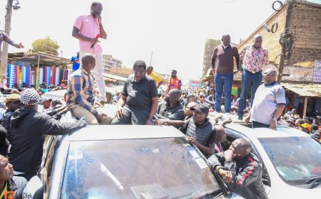 Sifuna, Orengo, Babu Owino's  ODM  Faction Unveils Linda Mwananchi Tours as Party Cracks Widen