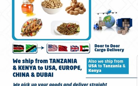 Say Goodbye to Shipping Stress: Why AVO Global Logistics Is the Smart Choice