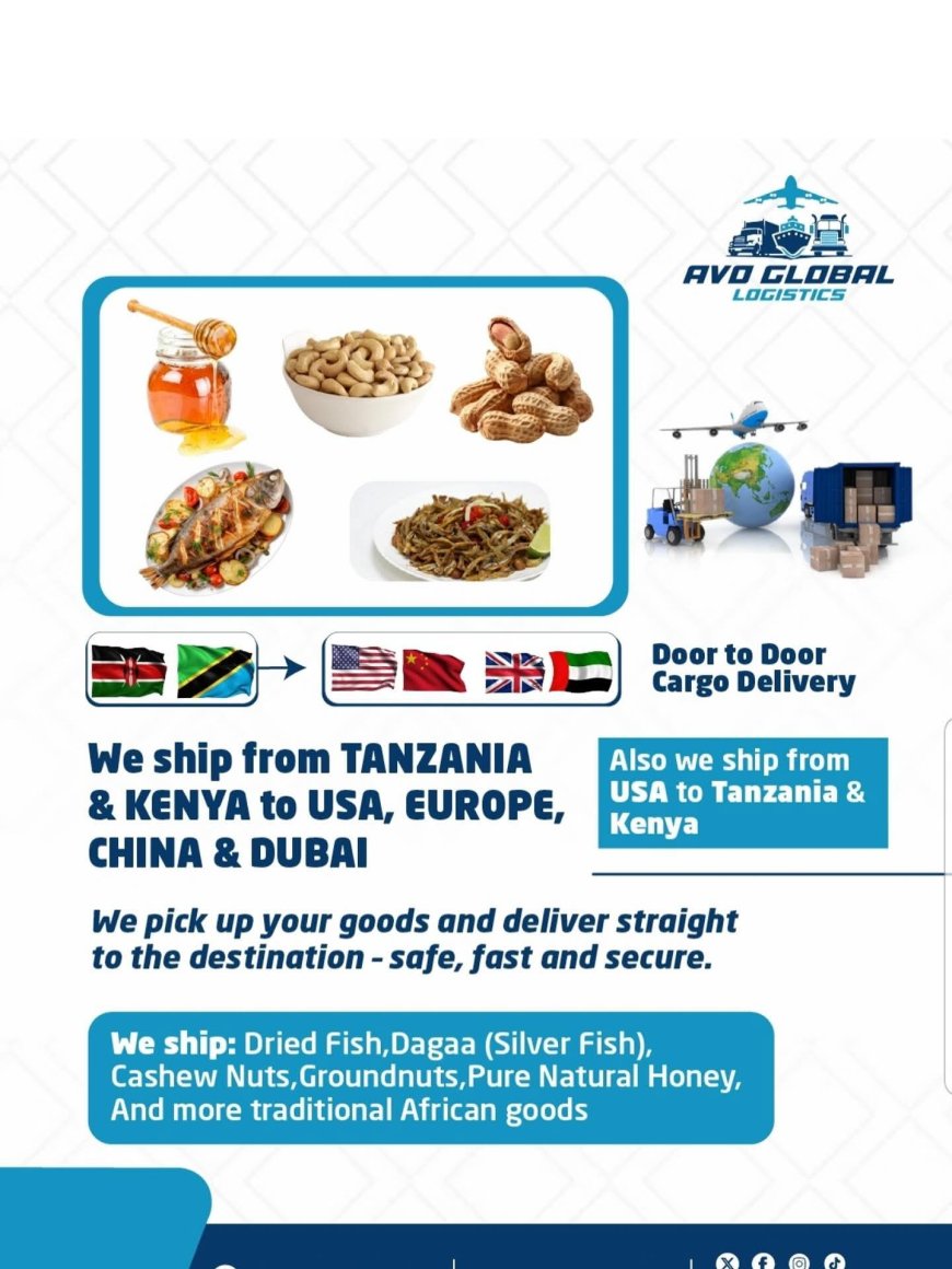 Say Goodbye to Shipping Stress: Why AVO Global Logistics Is the Smart Choice