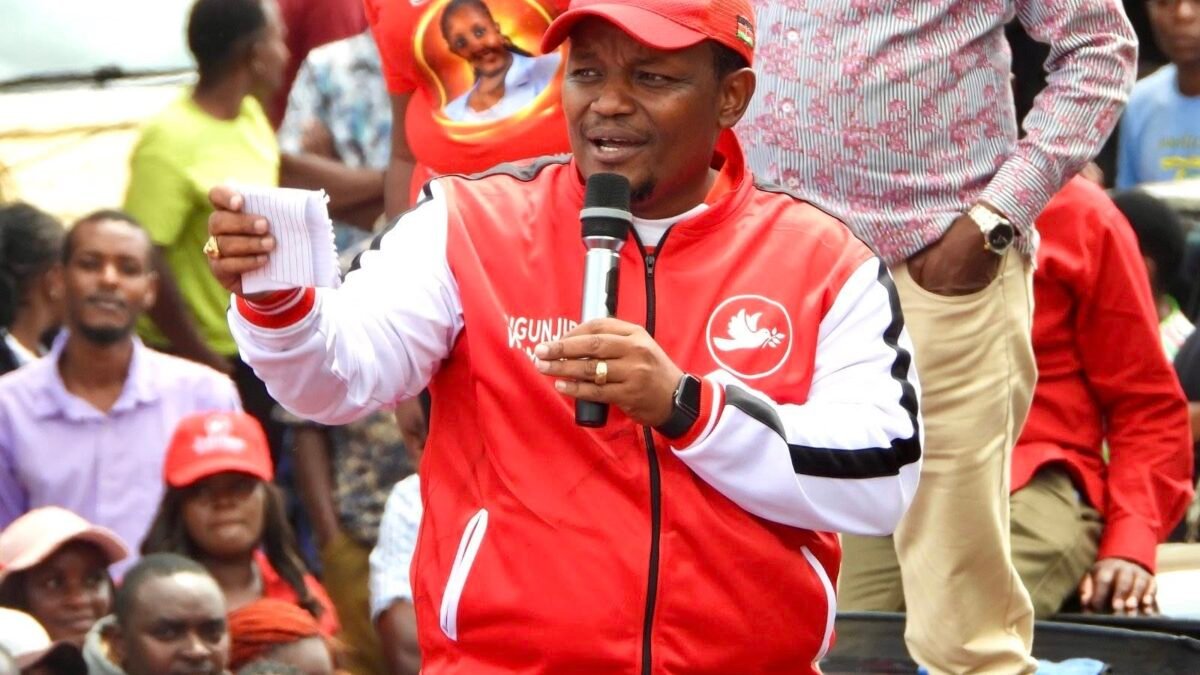 Ngunjiri Wambugu Says Jubilee Party Case Before PPDT Is About Party Democracy, Not Personalities