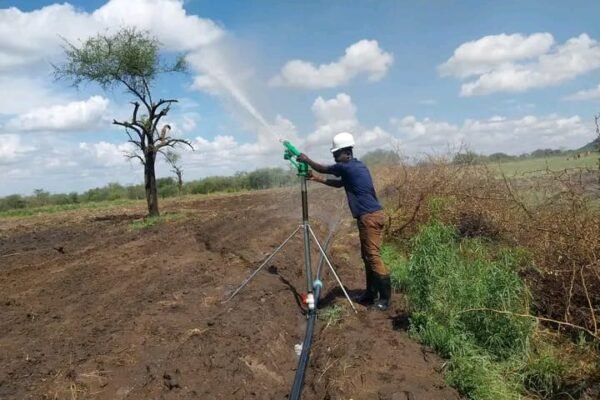 Smart Irrigation Gives Farmers New Hope as Climate Change Reshapes Kenyan Agriculture
