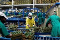 How Kenya’s SACCO Movement Transformed Cooperative Finance