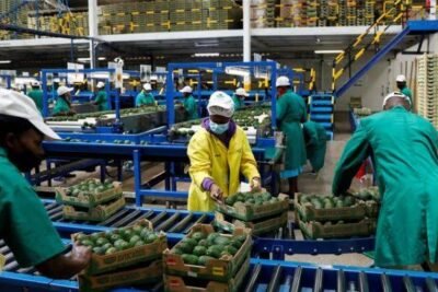 Kenyan Exporters Look to New Markets for Growth