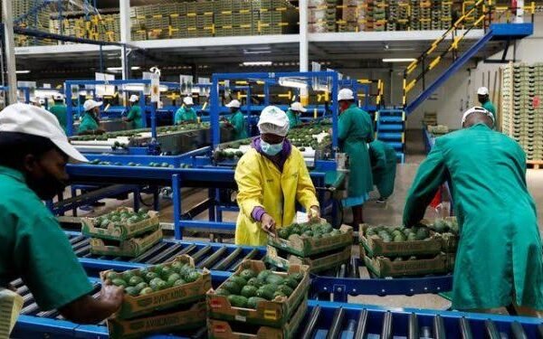 Kenyan Exporters Look to New Markets for Growth