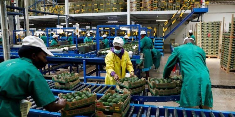 Kenyan Exporters Look to New Markets for Growth