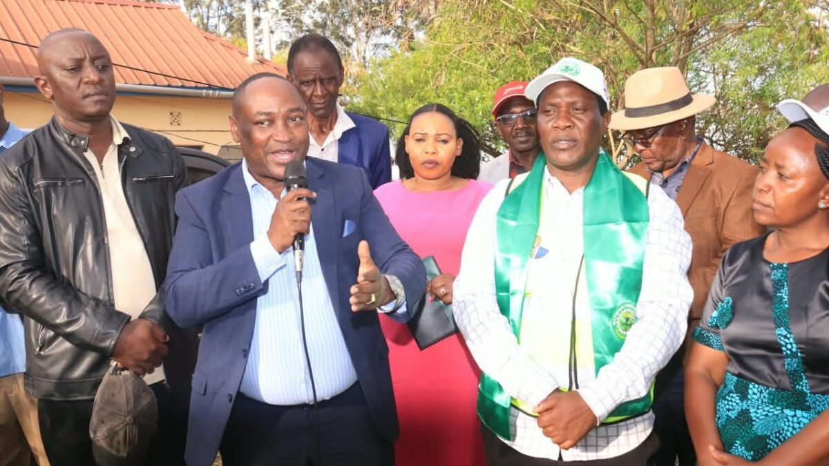 Why NLP Is the Party to Watch in Migwani Ward